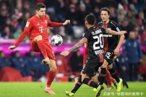 开云体育 -德甲倒计时，休斯敦火箭集结日再遭质疑，细节引发关注，目标明确，高层口径保持一致的简单介绍